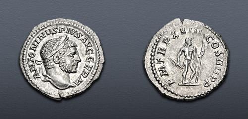 Lot 517 image