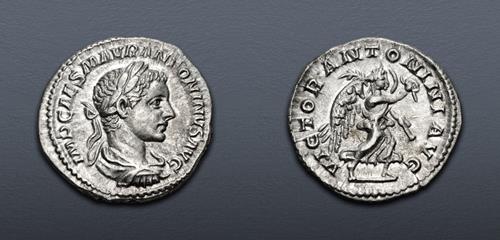 Lot 532 image