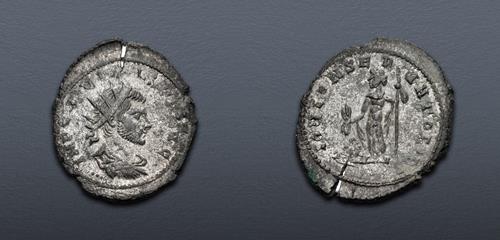 Lot 576 image
