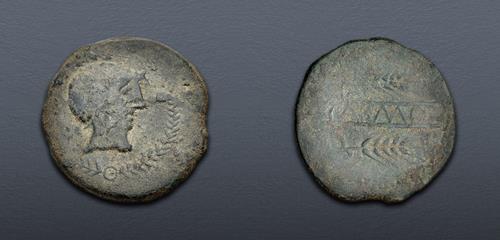 Lot 7 image