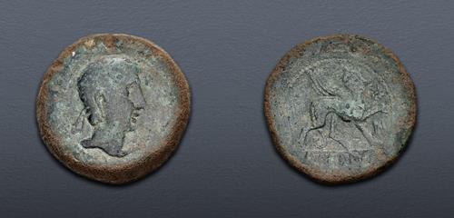 Lot 8 image