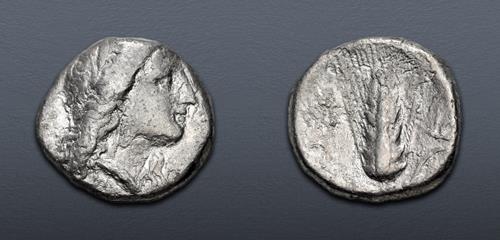Lot 14 image