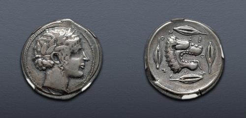 Lot 16 image