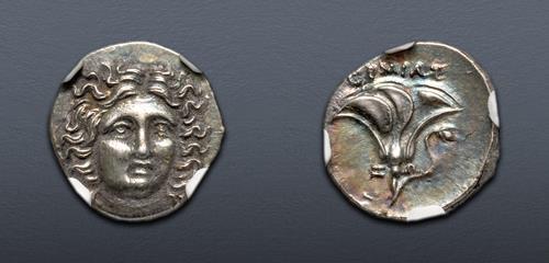 Lot 49 image