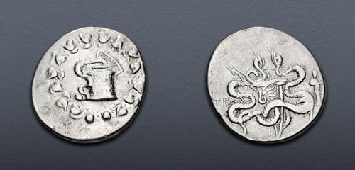 Lot 80 image