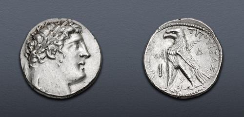 Lot 117 image