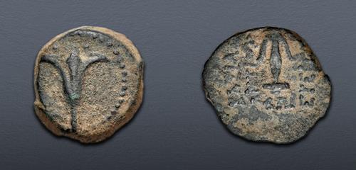 Lot 120 image