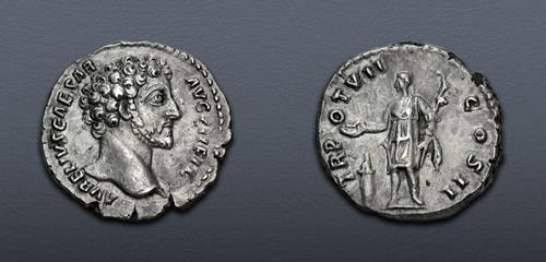 Lot 501 image