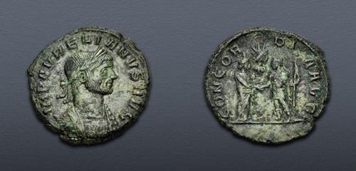 Lot 569 image