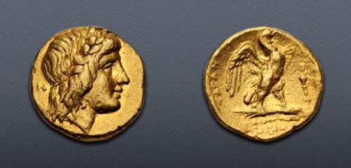 Lot 8 image