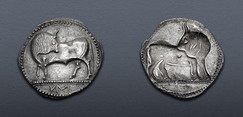Lot 21 image