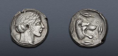 Lot 47 image