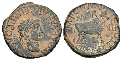 Lot 223 image