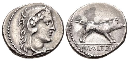 Lot 293 image