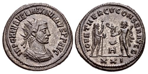 Lot 511 image