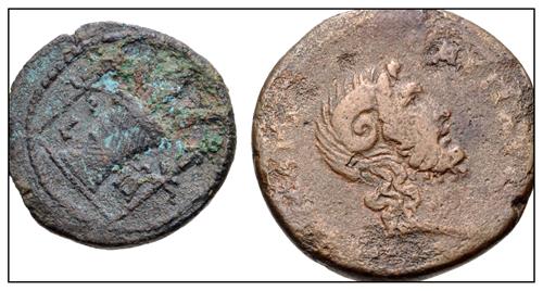Lot 700 image