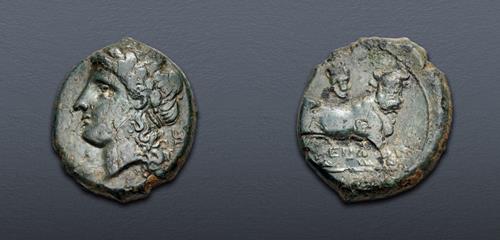 Lot nuber 11