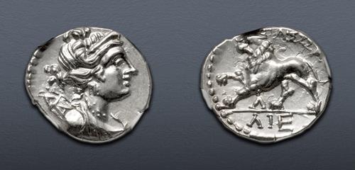 Lot 7 image