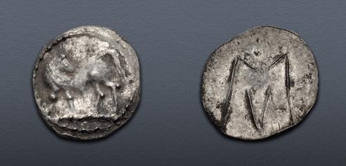 Lot 11 image