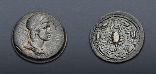 Lot 113 image