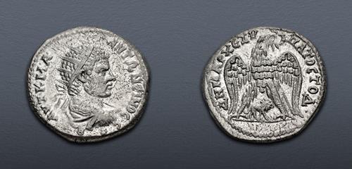 Lot 254 image