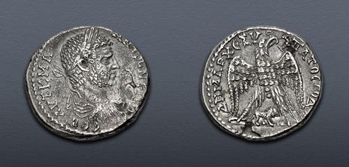 Lot 255 image