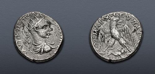 Lot 256 image
