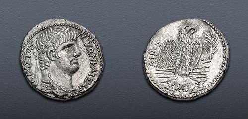 Lot 257 image