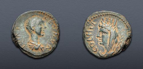 Lot 295 image