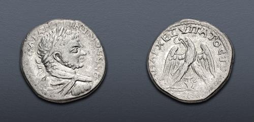 Lot 307 image