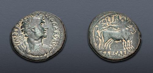 Lot 310 image