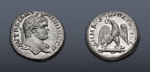 Lot 311 image