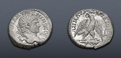 Lot 312 image