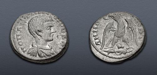 Lot 313 image