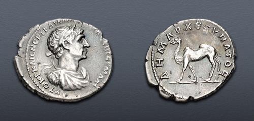 Lot 319 image
