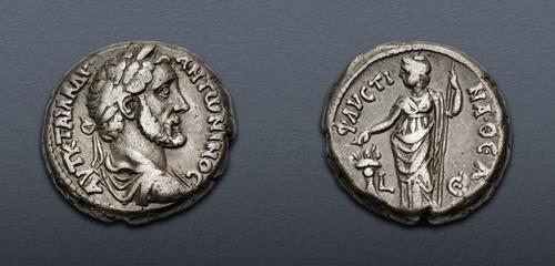 Lot 364 image
