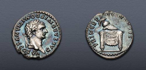 Lot 491 image