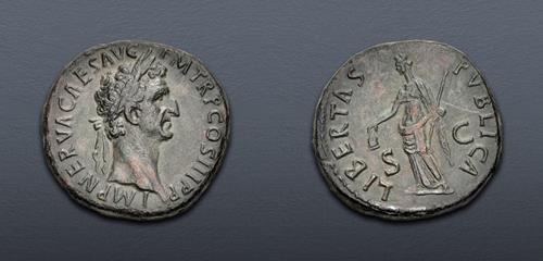 Lot 501 image