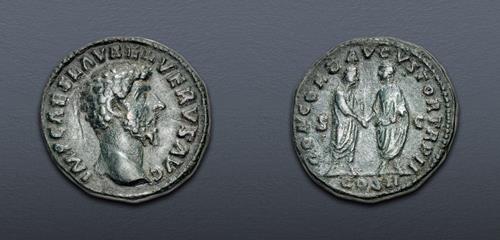 Lot 551 image