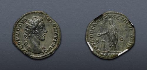 Lot 558 image