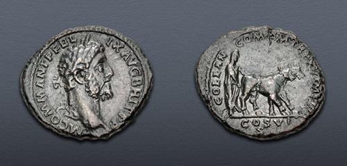 Lot 565 image
