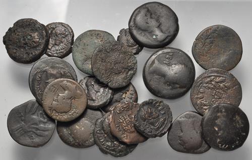 Lot 1036 image