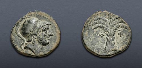 Lot 5 image