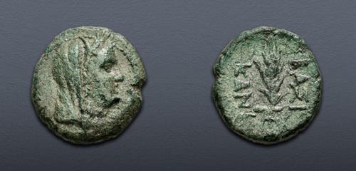 Lot 16 image