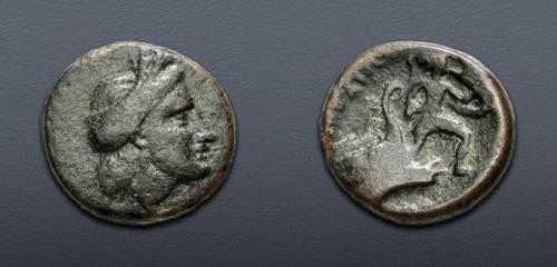 Lot 49 image