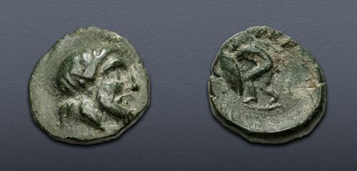 Lot 101 image
