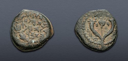 Lot 210 image