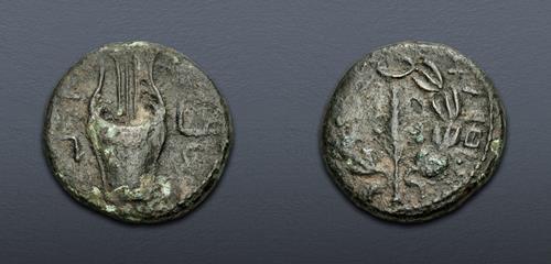 Lot 215 image