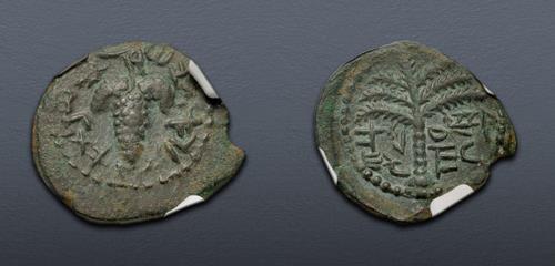Lot 216 image