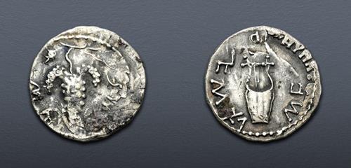 Lot 217 image